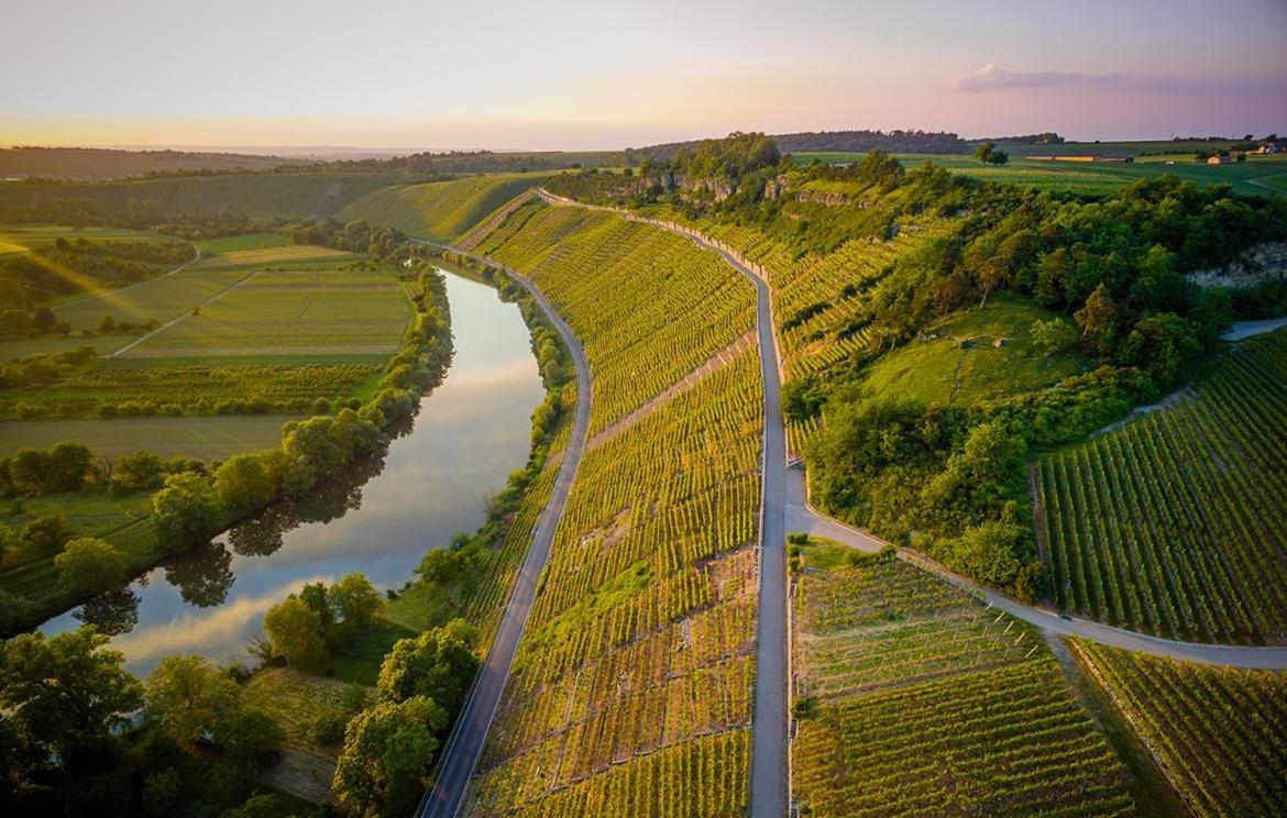 Exnicrum Wein . Genuss . Hotel Hessigheim Exteriör bild